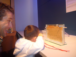Niño observando el formicario en Naturnova