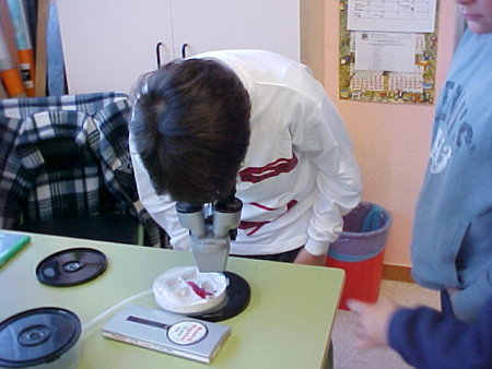 Alumnos observando con lupa binocular