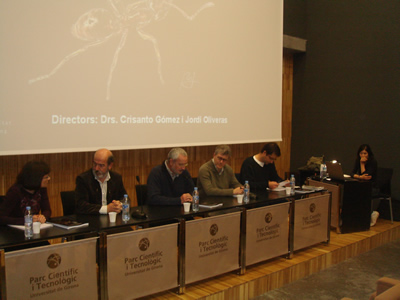 Tribunal Tesis Silvia Abril