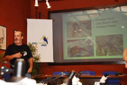 Profesor Tinaut impartiendo ponencia
