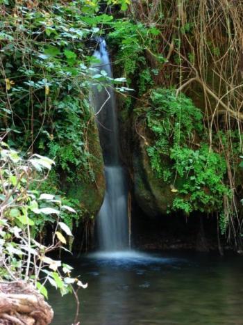 Arroyo Bejarano: Imagen del arroyo Bejarano