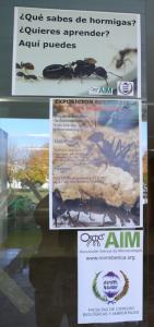 Haz clic para ver todas las imágenes