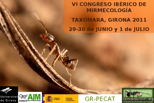 Cartel Taxomara 2011