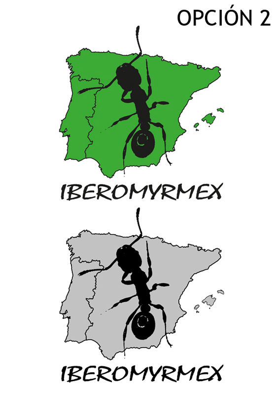 Opción 2